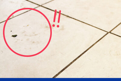 Tile Floor Cleaning Tips