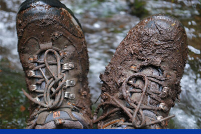 10-minute Easy Cleaning Of Muddy Shoes